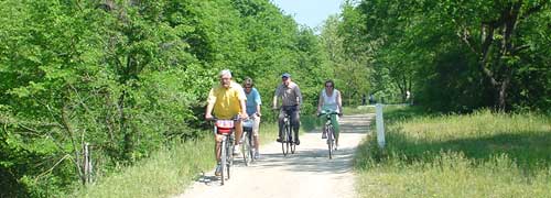 Herrliche Radwege am Altrhein