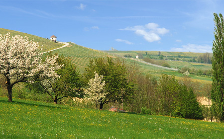 Markgräflerland