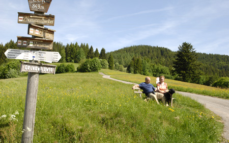 Wandern im Schwarzwald