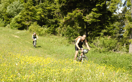 Fahrrad und Mountainbike